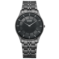 Citizen Collection NIGHT COLOUR EDITION AR3017-58E