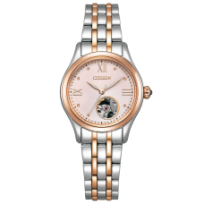 Citizen Collection PR1044-87X