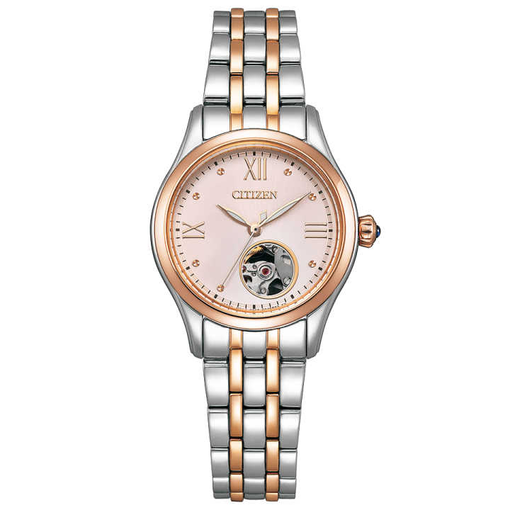 Citizen Collection PR1044-87X