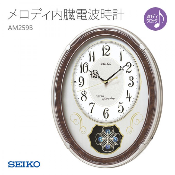 SEIKO AM259B