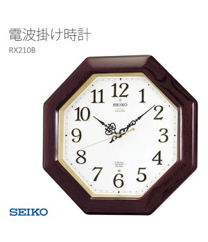 SEIKO RX210B