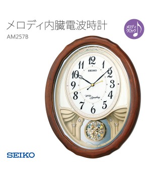 SEIKO AM257B