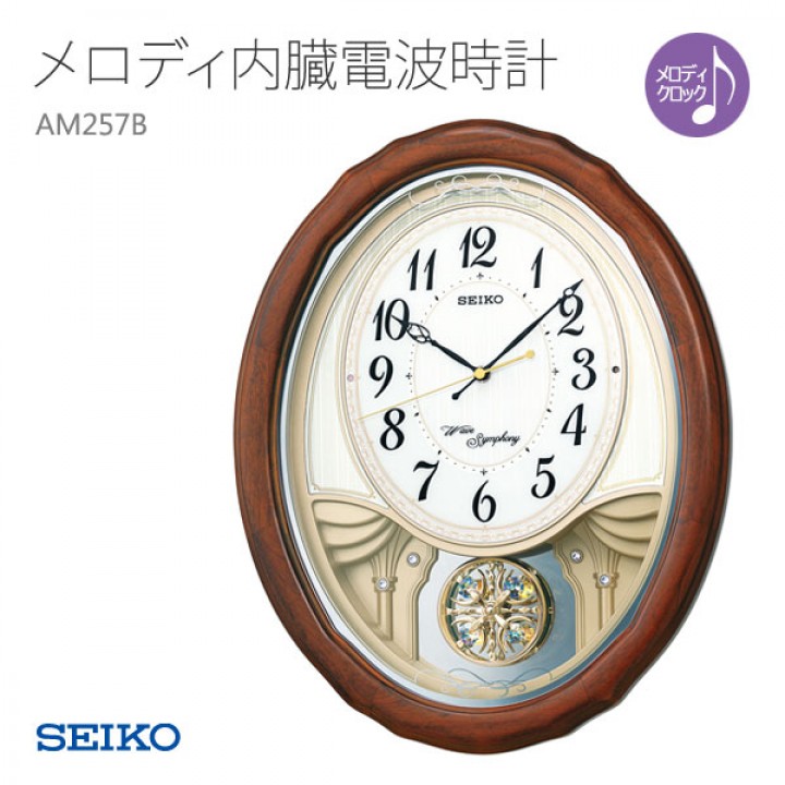 SEIKO AM257B