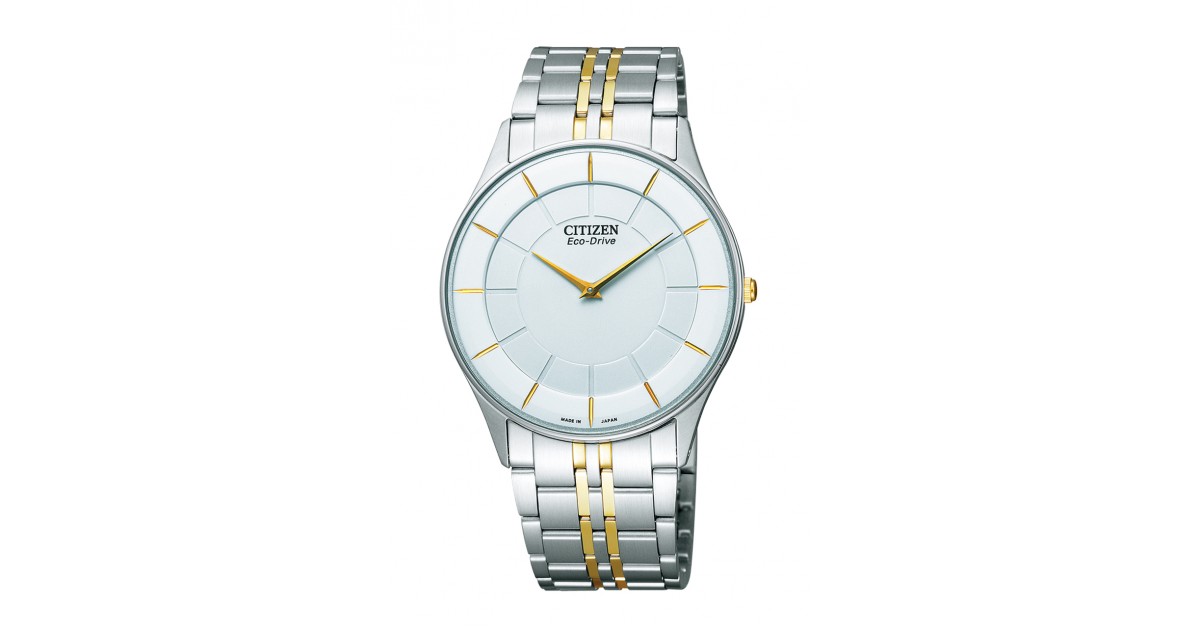 Citizen Collection AR3014-56A | Sakurawatches.com