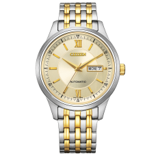 Citizen Collection NY4057-63P